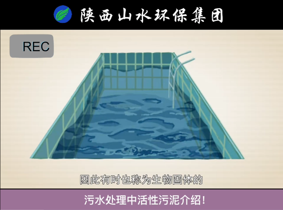 污水處理中活性污泥介紹！